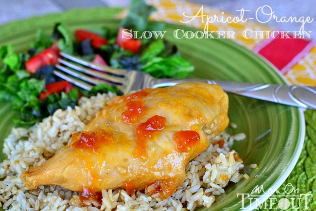 3-Quart Slow Cooker Apricot Chicken Recipe • A Weekend Cook®