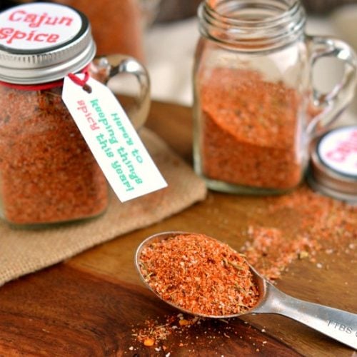 https://www.momontimeout.com/wp-content/uploads/2014/12/cajun-spice-mix-1-500x500.jpg