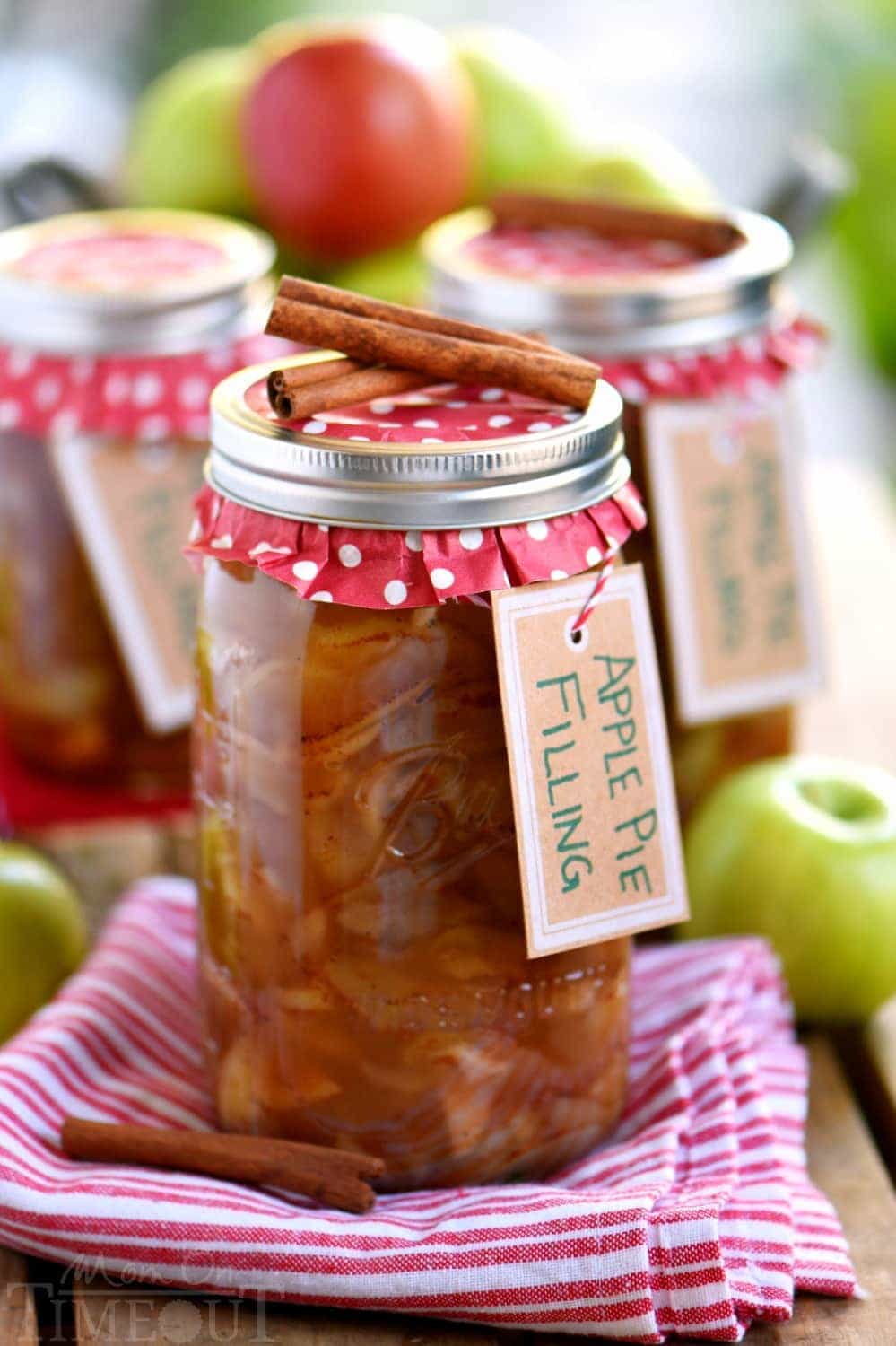 The BEST Homemade Apple Pie Filling - Mom On Timeout