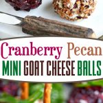 cranberry-pecan-mini-goat-cheese-balls-collage