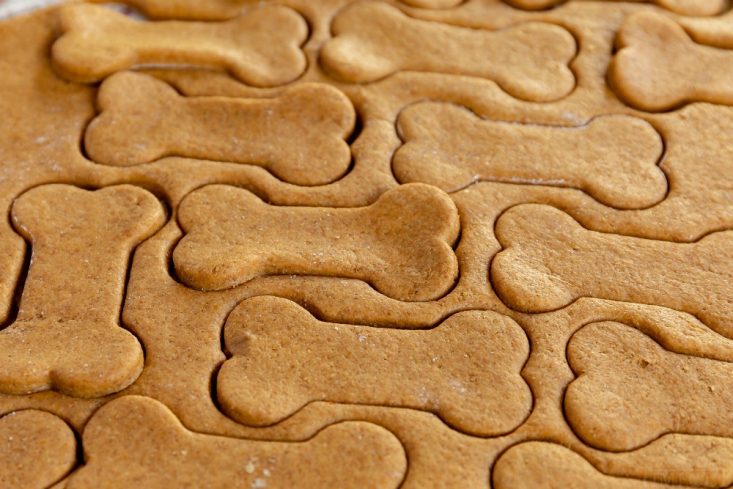 puppy dog cookies