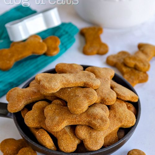 dog biscuits near me