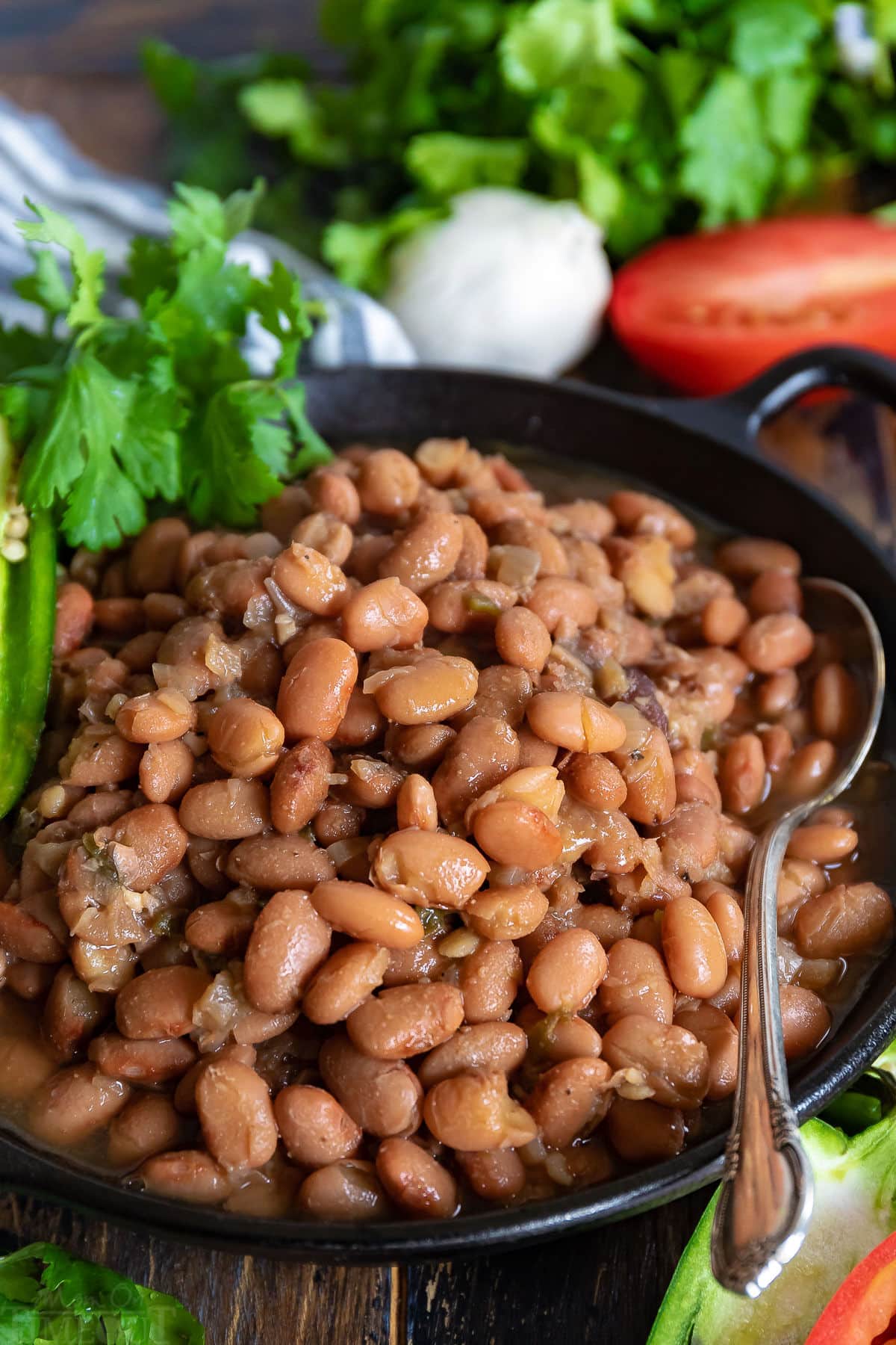 Crock Pot Pinto Beans - No Soaking Needed! | Mom On Timeout