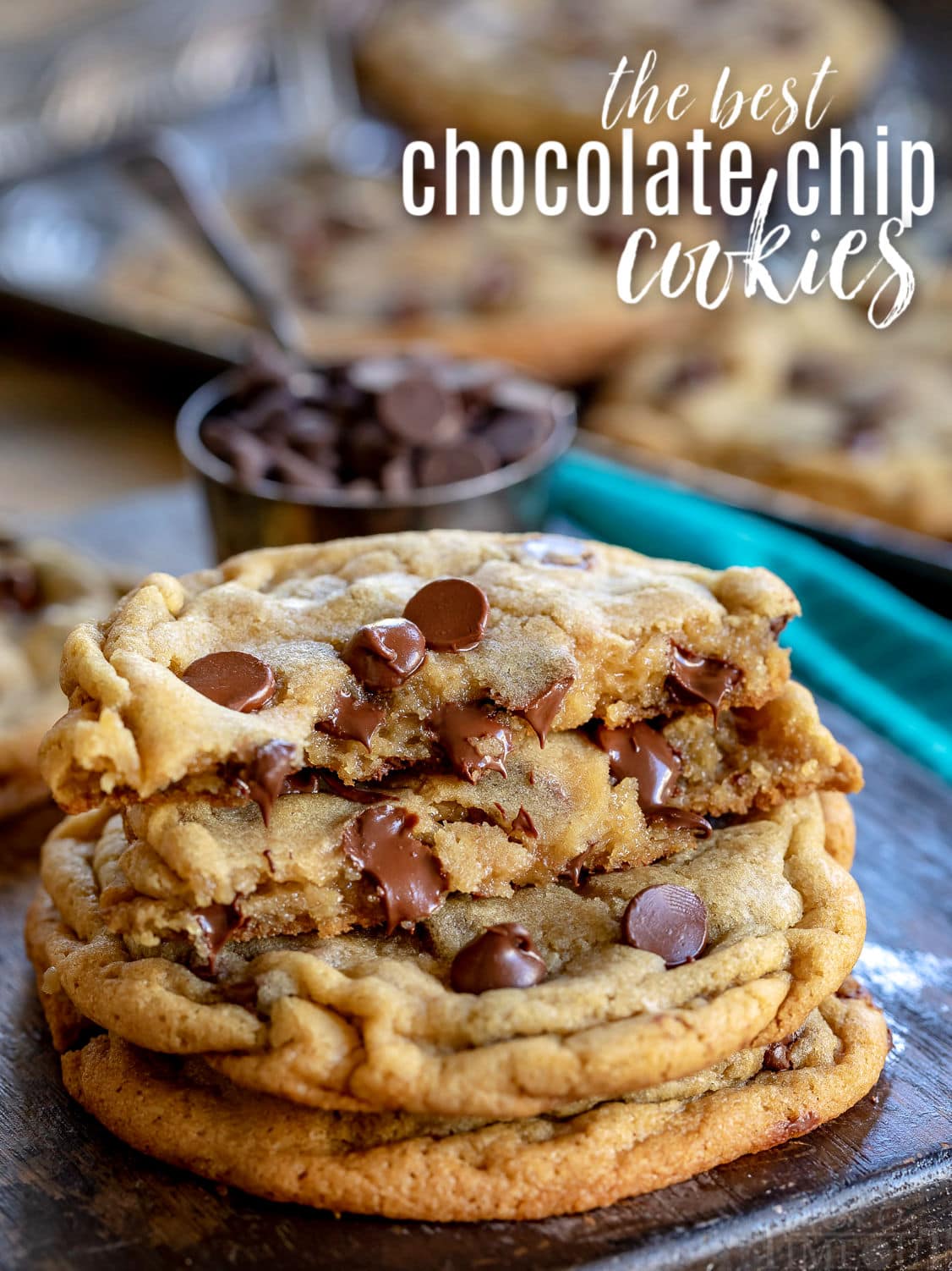 Creamy Chocolate Chip Cookies