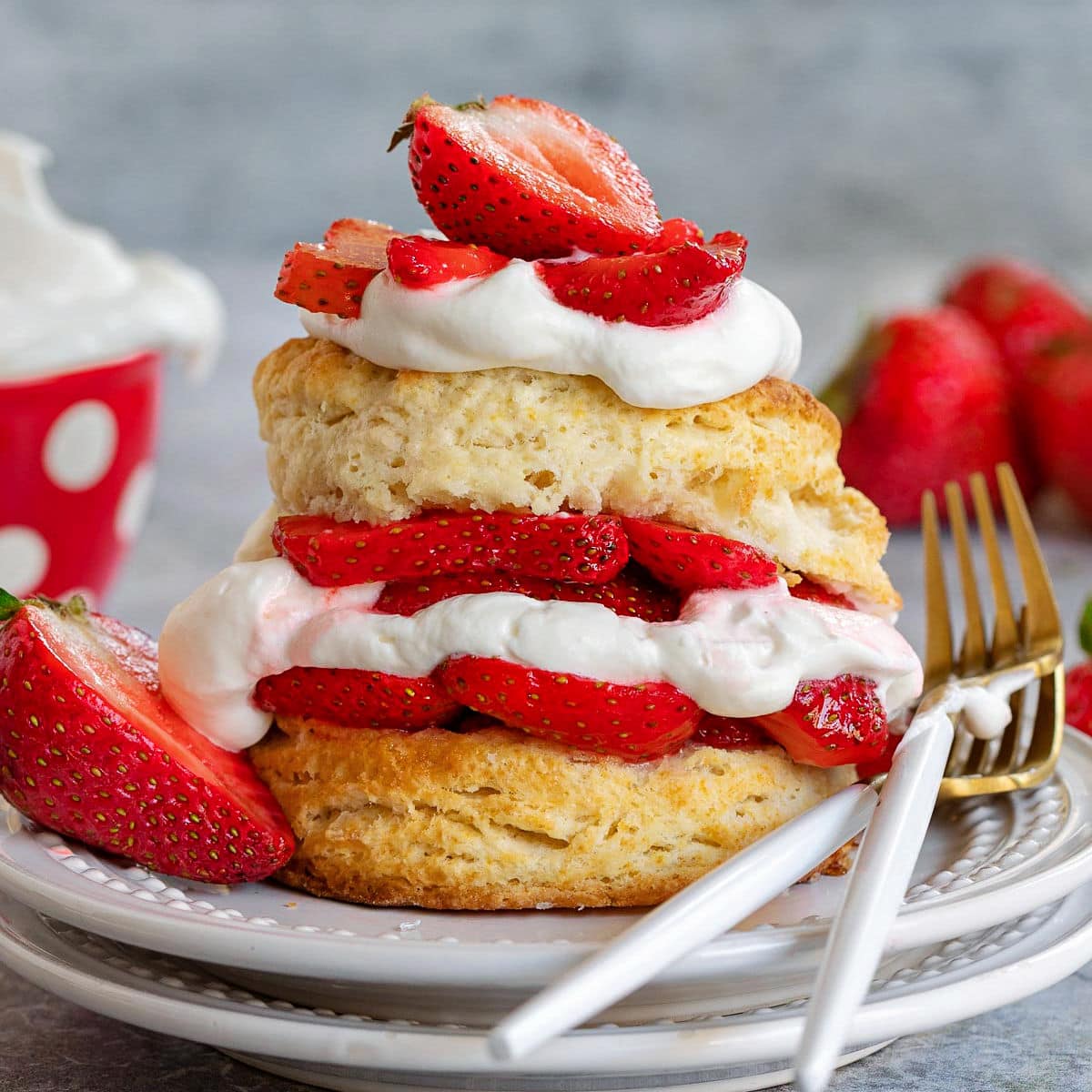 Best Strawberry Shortcake Recipe Mom On Timeout