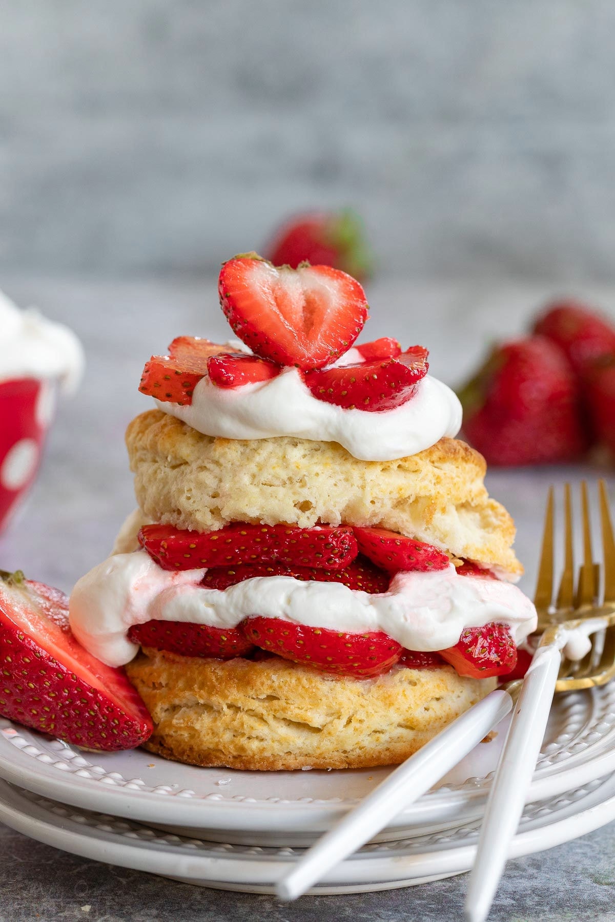 Super Easy Strawberry Shortcake Recipe - Rezfoods - Resep Masakan Indonesia