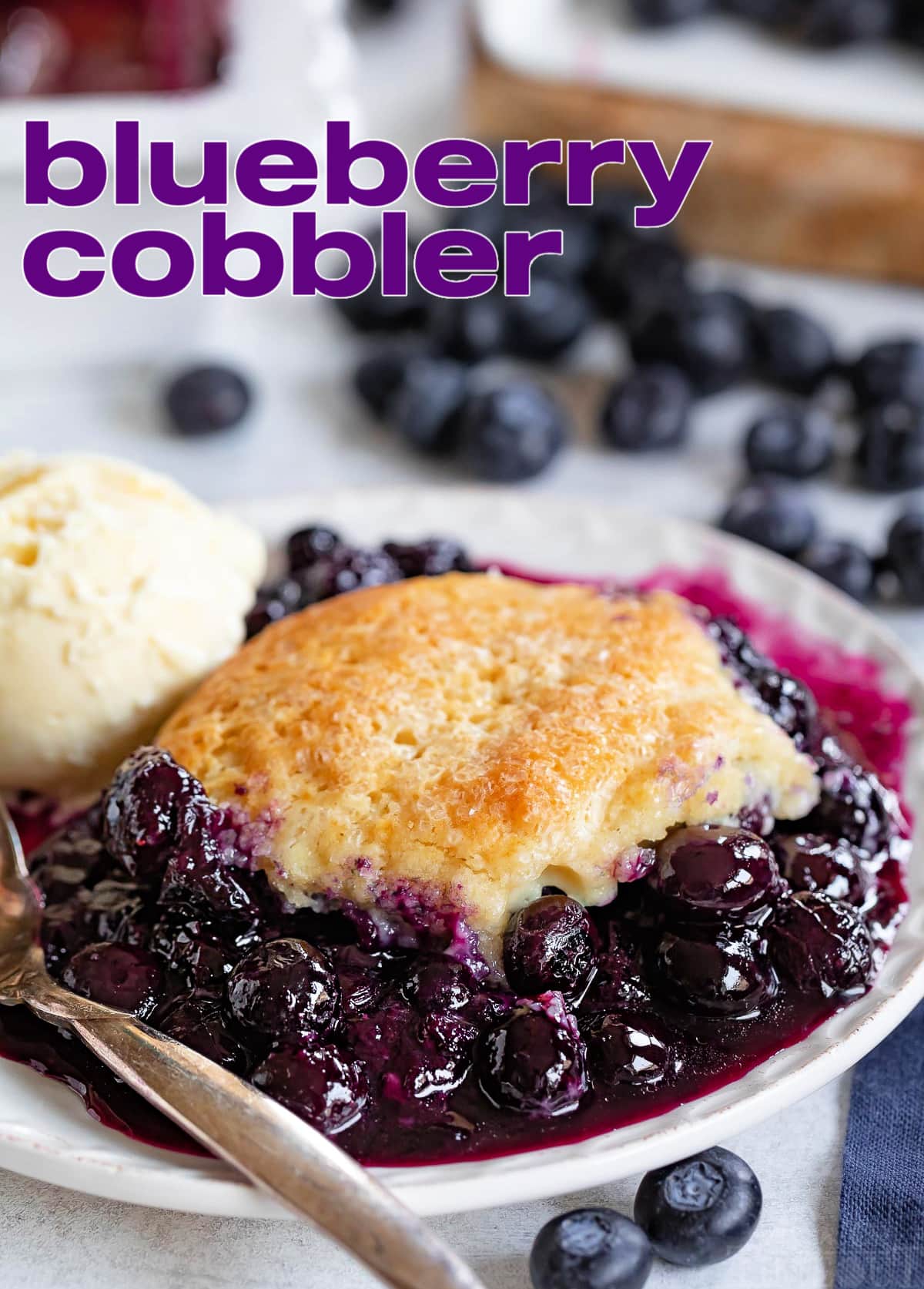 BEST Blueberry Cobbler Recipe - Quick & Easy! | Mom On Timeout