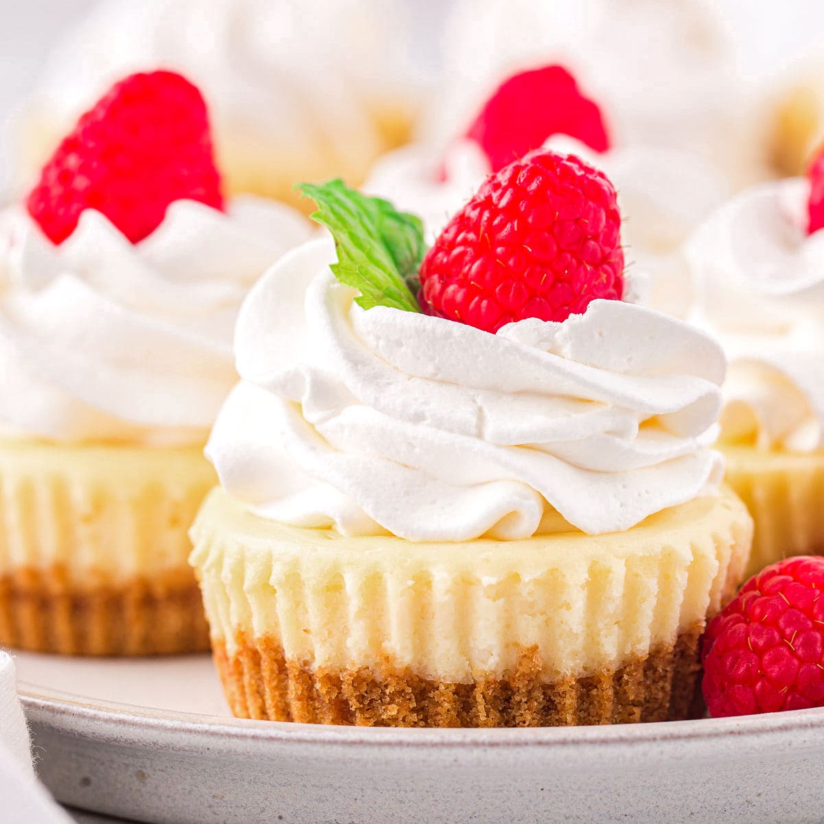 Best gifts 2014: Mini Cheesecake Pan