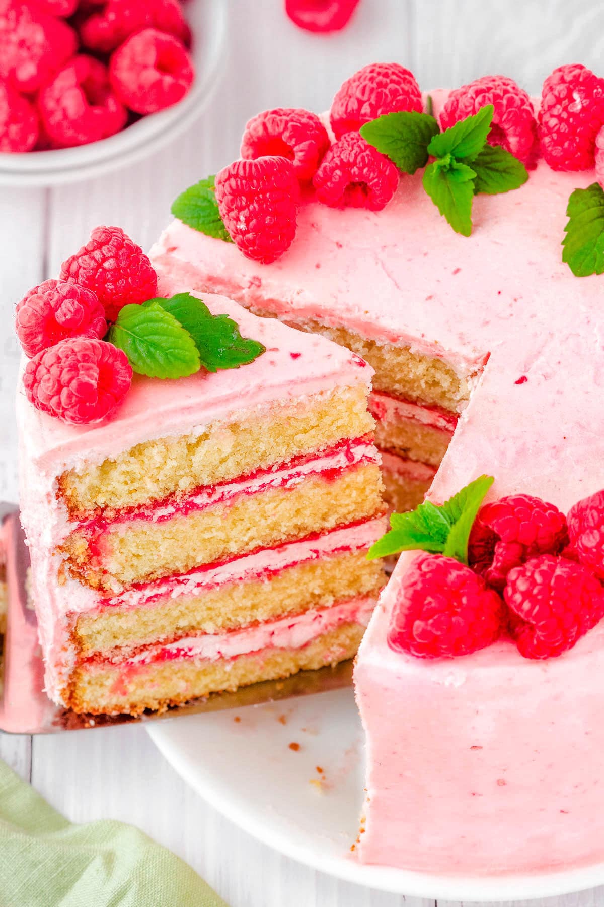 https://www.momontimeout.com/wp-content/uploads/2023/03/raspberry-vanilla-cake.jpeg