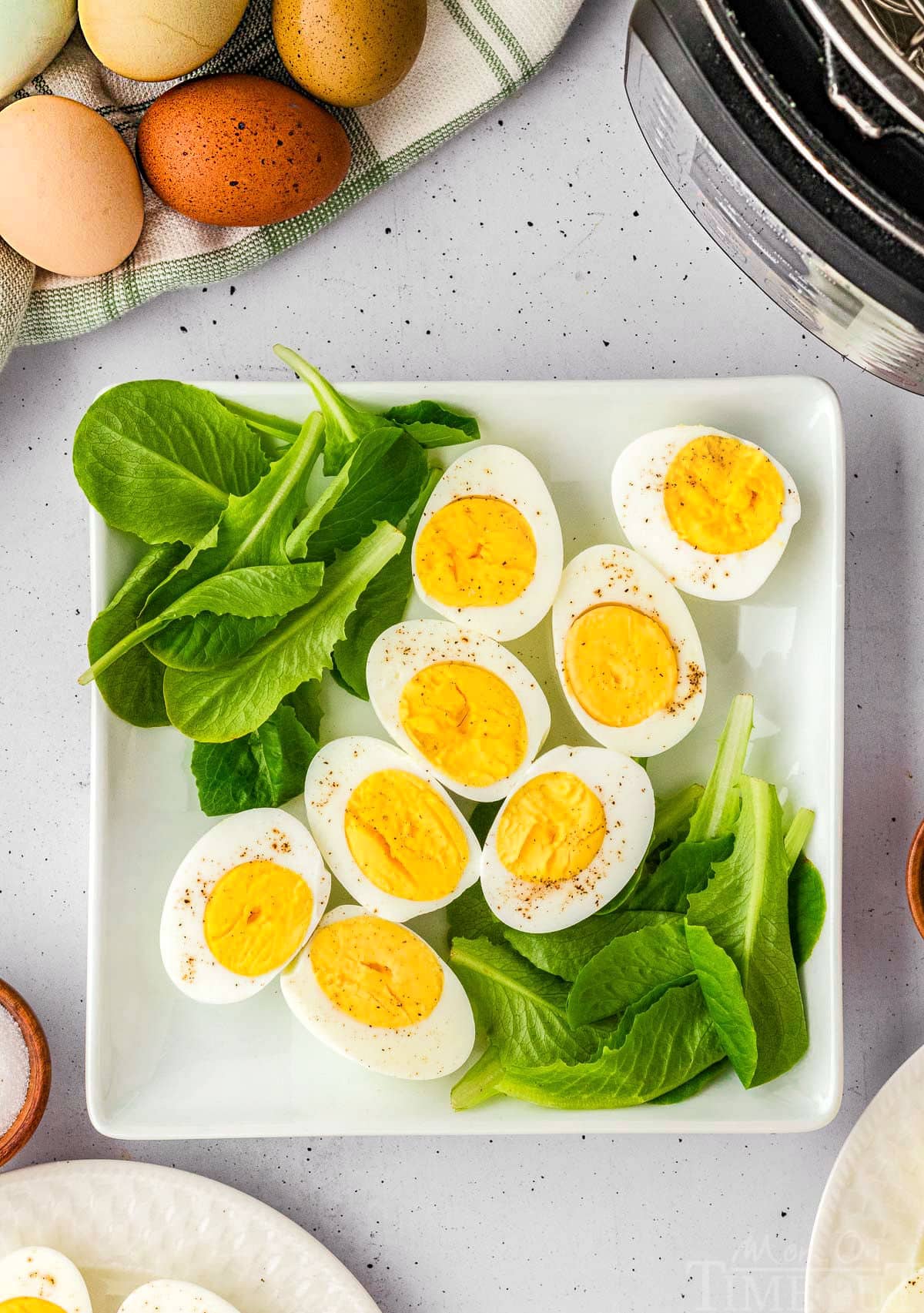 Hard boiled eggs on a bed of spinach on a white plate.