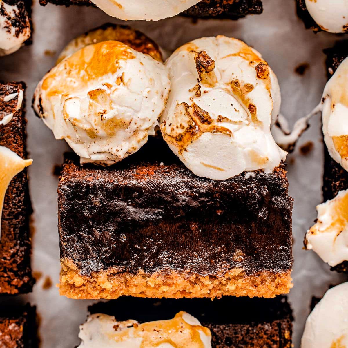 Seriously Delicious S'mores Brownies - Mom On Timeout