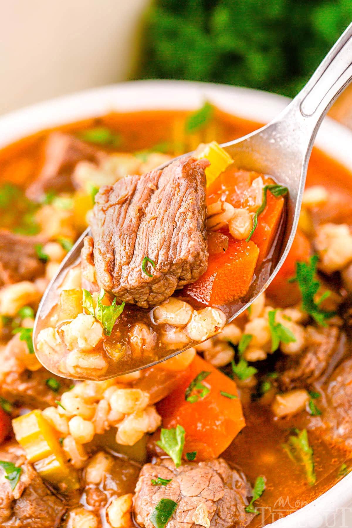 A spoon holding a serving of beef and barley soup over a white bowl.