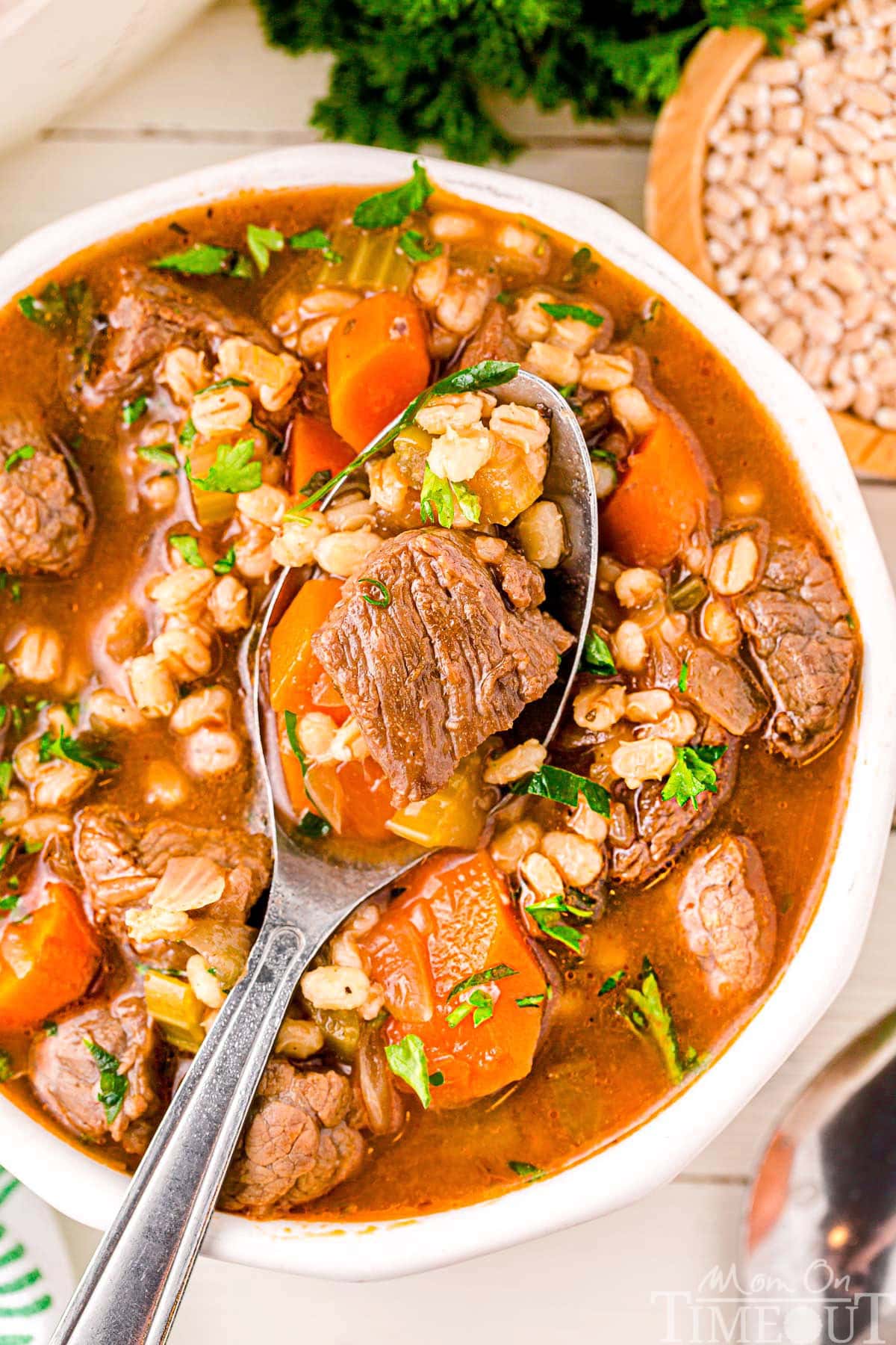 A top down view of a spoon in a bowl of beef and barley soup.