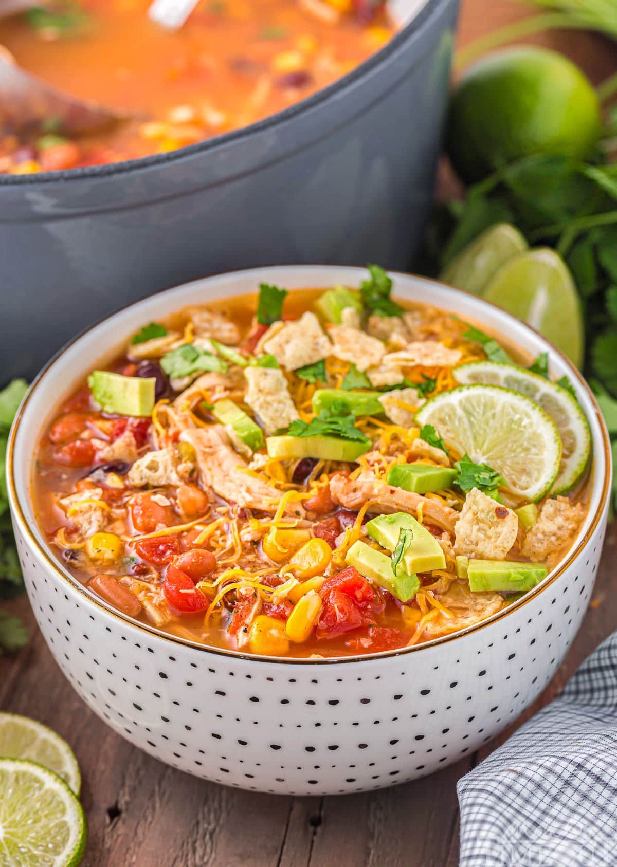 A side view of a bowl of chicken taco soup with the dutch oven in the background.