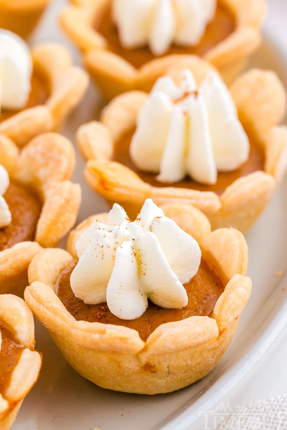 A close up view of mini pumpkin pies on a white plate.