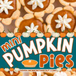 Three image collage showing mini pumpkin pies from different angles. Center color block with text overlay.