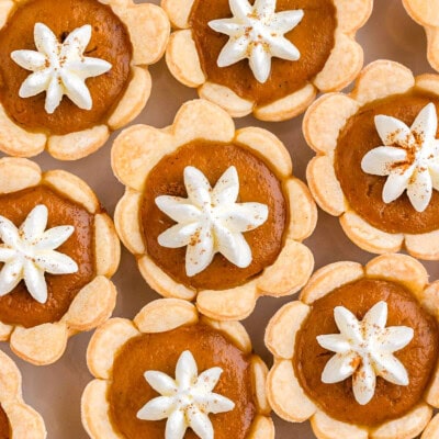 Top down shot of mini pumpkin pies with whipped cream dollops.