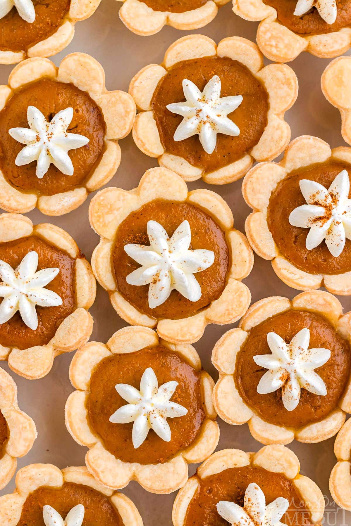 Top down shot of mini pumpkin pies with whipped cream dollops and a dusting of cinnamon.