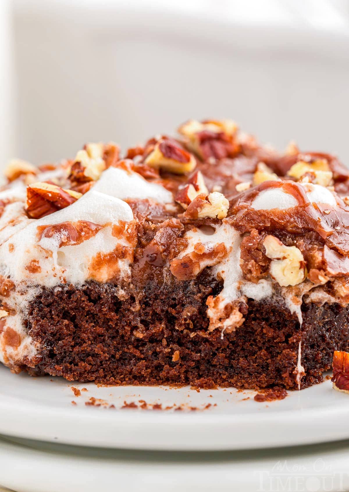 Close up shot showing the crumb of the cake and the melted marshmallows and chocolate frosting on top.