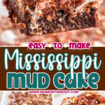 Three image collage of Mississippi Mud Cake on a server, in the baking dish and on a plate with a fork cutting off a piece. Center color block with text overlay.