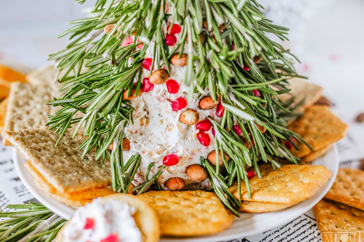 Shot of cheese ball that looks like a Christmas Tree with crackers surrounding it and one cracker spread with the cheese.