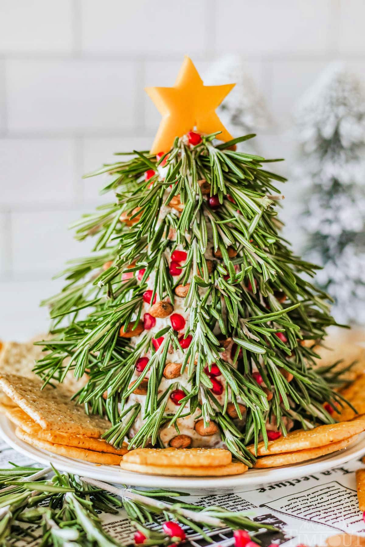 Christmas Tree Cheese Ball on a white plate with crackers surround it. Cheese ball is topped with a cheddar cheese star.