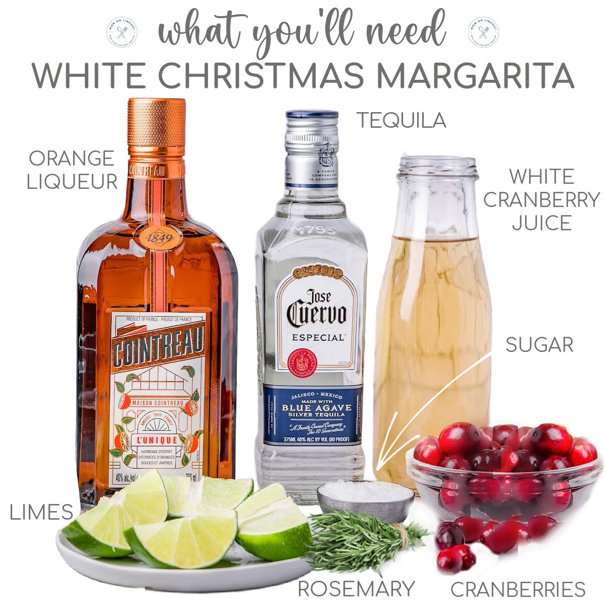 Shot of ingredients needed for white christmas margarita.