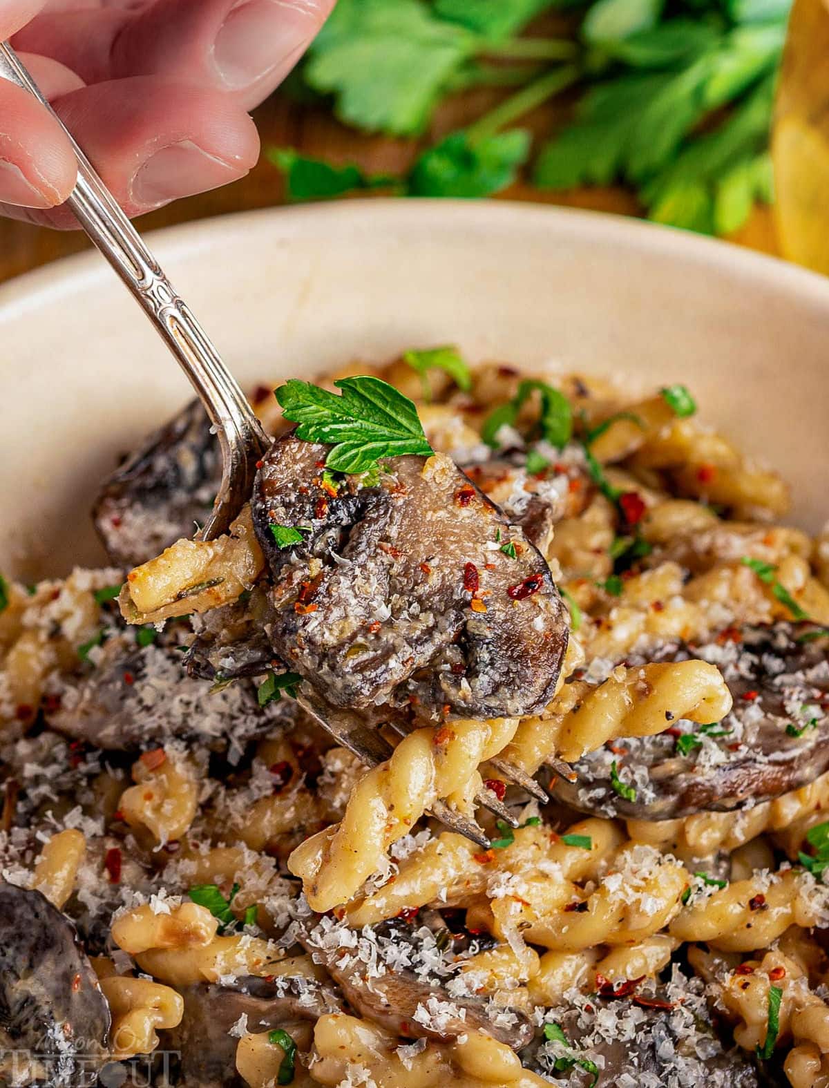 Close up shot of pasta and mushrooms being scooped up with a spoon from a white bowl.