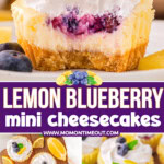 Three image collage of lemon blueberry mini cheesecakes topped with whipped cream and fresh blueberries. Center color block with text overlay.